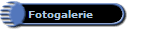 Fotogalerie